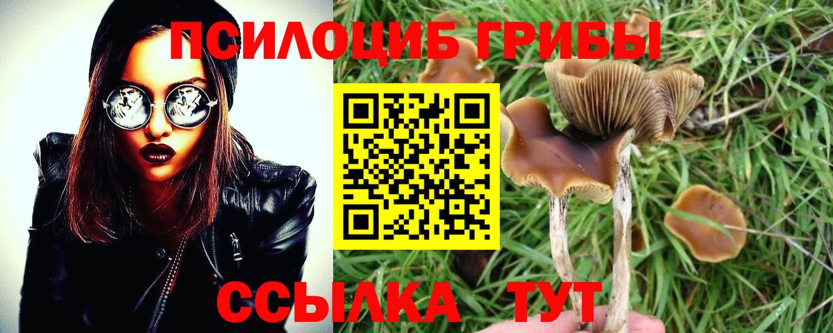 Галлюциногенные грибы Magic Shrooms  Вход с VPN  Набережные Челны 