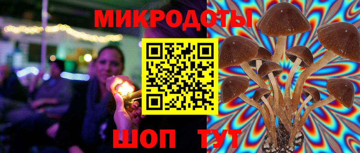 Псилоцибиновые грибы мицелий Набережные Челны
